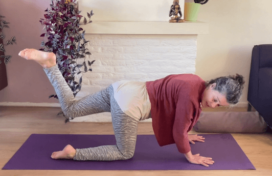 Ik heb een e-cursus gemaakt over de nervus vagus